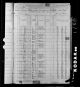 1880 US Federal Census, Bunch